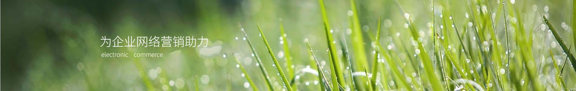 ĳһԹҵ޹˾